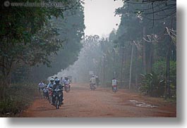 images/Asia/Cambodia/Transportation/motorcycles-n-tree-lined-hazy-road-02.jpg