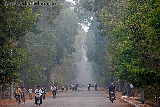 motorcycles-n-tree-lined-hazy-road-03.jpg