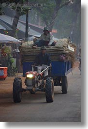 images/Asia/Cambodia/Transportation/tractor-carrying-bamboo.jpg