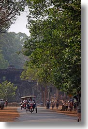 images/Asia/Cambodia/Transportation/tuk_tuk-n-trees.jpg