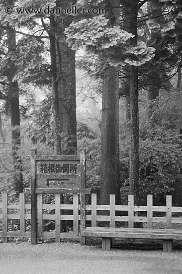 hakone-checkpoint-1.jpg