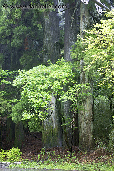 hakone-scenics-6.jpg