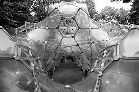 bubble-gym-bw-1.jpg