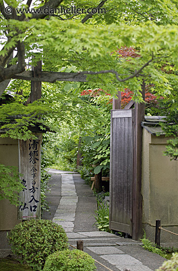 green-covered-path.jpg