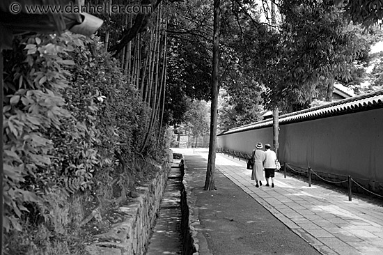 women-walking-bw.jpg