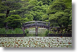 images/Asia/Japan/Kyoto/RyoanjiTemple/pond-bridge.jpg
