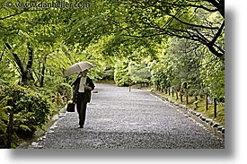 images/Asia/Japan/Kyoto/RyoanjiTemple/walking-w-umbrella-1.jpg