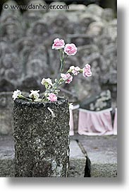 images/Asia/Japan/Misc/Flowers/pink-carnations-1.jpg
