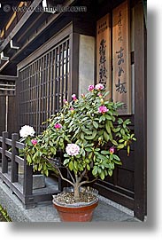 images/Asia/Japan/Misc/Flowers/sign-n-plants-1.jpg