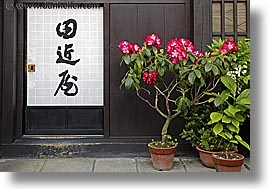 images/Asia/Japan/Misc/Flowers/sign-n-plants-5.jpg