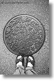 images/Asia/Japan/Misc/ManholeCovers/japanese-manhole-11.jpg