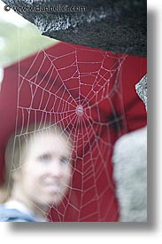 images/Asia/Japan/Misc/spider-web-1.jpg
