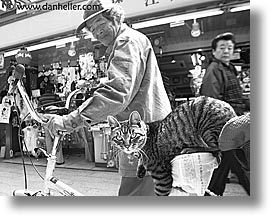 images/Asia/Japan/People/Men/man-cat-bike-1.jpg