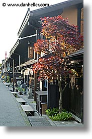 images/Asia/Japan/Takayama/Town/brown-tree.jpg