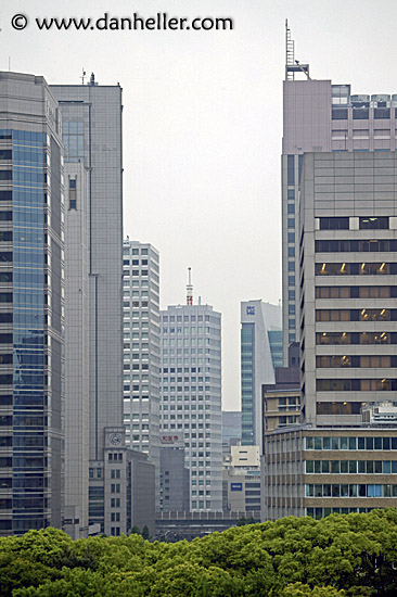 cityscape-over-trees.jpg