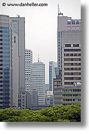 images/Asia/Japan/Tokyo/Cityscapes/cityscape-over-trees.jpg