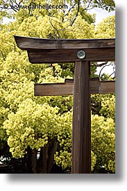 images/Asia/Japan/Tokyo/MeijiShrine/torii-gate-4.jpg