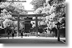 images/Asia/Japan/Tokyo/MeijiShrine/torii-gate-7-bw.jpg