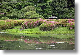 images/Asia/Japan/Tokyo/RoyalPalaceGardens/japanese-pond.jpg