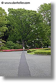 images/Asia/Japan/Tokyo/RoyalPalaceGardens/path-to-tree.jpg