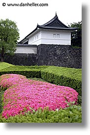 images/Asia/Japan/Tokyo/RoyalPalaceGardens/pink-flowers-1.jpg
