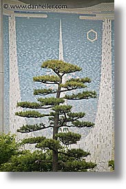 images/Asia/Japan/Tokyo/RoyalPalaceGardens/tree-n-tiled-art.jpg
