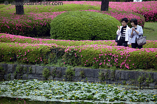 women-admiring-pond.jpg