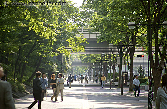 tree-tunnel-street.jpg