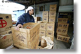 images/Asia/Japan/Tokyo/TsukijiMarket/box-worker-2.jpg