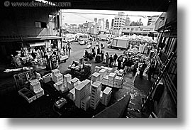 images/Asia/Japan/Tokyo/TsukijiMarket/import-export-station-3-bw.jpg