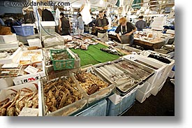 images/Asia/Japan/Tokyo/TsukijiMarket/misc-seafood-1.jpg