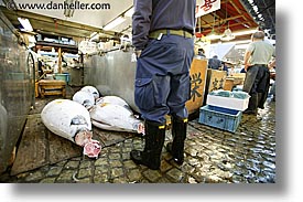 images/Asia/Japan/Tokyo/TsukijiMarket/misc-seafood-10.jpg