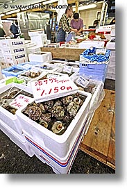 images/Asia/Japan/Tokyo/TsukijiMarket/misc-seafood-2.jpg