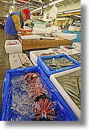 images/Asia/Japan/Tokyo/TsukijiMarket/misc-seafood-3.jpg
