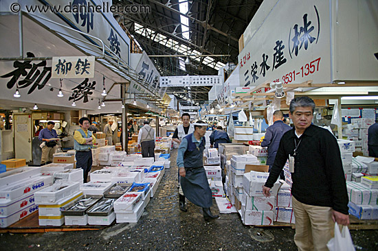 wide-view-market-2.jpg