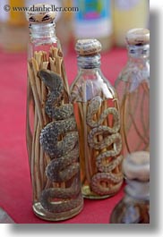 images/Asia/Laos/LuangPrabang/Animals/snakes-in-a-bottle.jpg