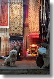 images/Asia/Laos/LuangPrabang/Animals/white-dog-n-rugs-01.jpg