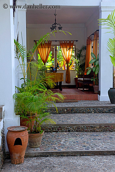 plants-n-foyer-01.jpg