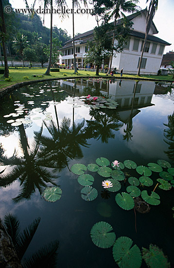 palace-pond.jpg