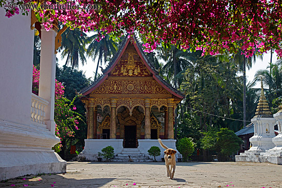 wat-paphaimisaiyaram-01.jpg