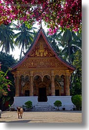images/Asia/Laos/LuangPrabang/Buildings/Temples/Misc/wat-paphaimisaiyaram-04.jpg