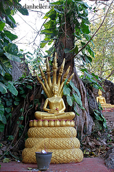 golden-buddha-statues-3.jpg