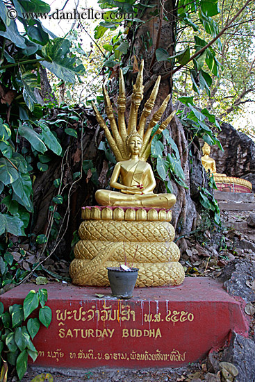 golden-buddha-statues-4.jpg