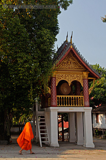 temple-by-trees-on-white-stilts-1.jpg