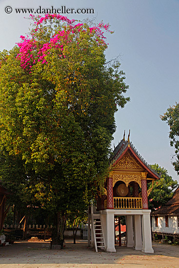 temple-by-trees-on-white-stilts-2.jpg