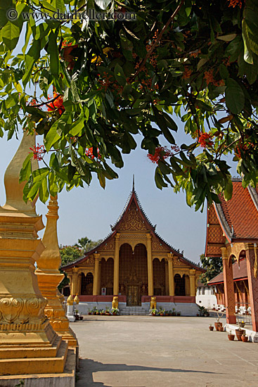 temple-n-branches-1.jpg