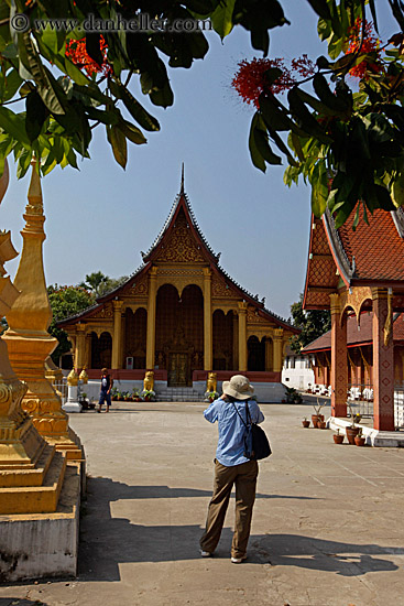 temple-n-branches-n-photographer.jpg