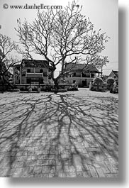 images/Asia/Laos/LuangPrabang/Buildings/Temples/WatSene/tree-shadows-n-houses-2-bw.jpg