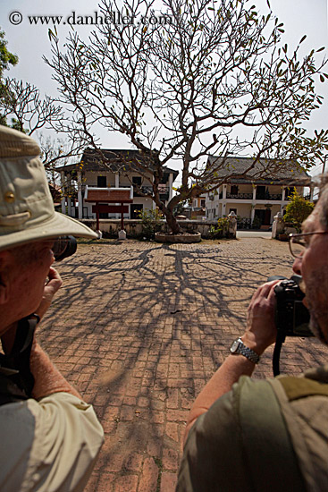 tree-shadows-n-photographers.jpg