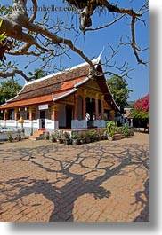 images/Asia/Laos/LuangPrabang/Buildings/Temples/WatSene/tree-shadows-n-temple-3.jpg